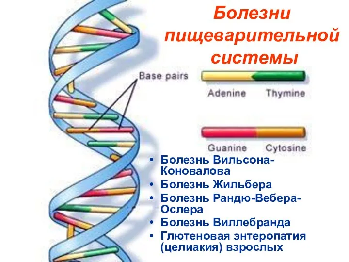 Болезнь Вильсона-Коновалова Болезнь Жильбера Болезнь Рандю-Вебера-Ослера Болезнь Виллебранда Глютеновая энтеропатия (целиакия) взрослых Болезни пищеварительной системы