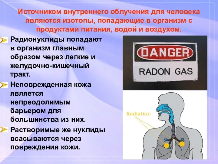 Источником внутреннего облучения для человека являются изотопы, попадающие в организм с