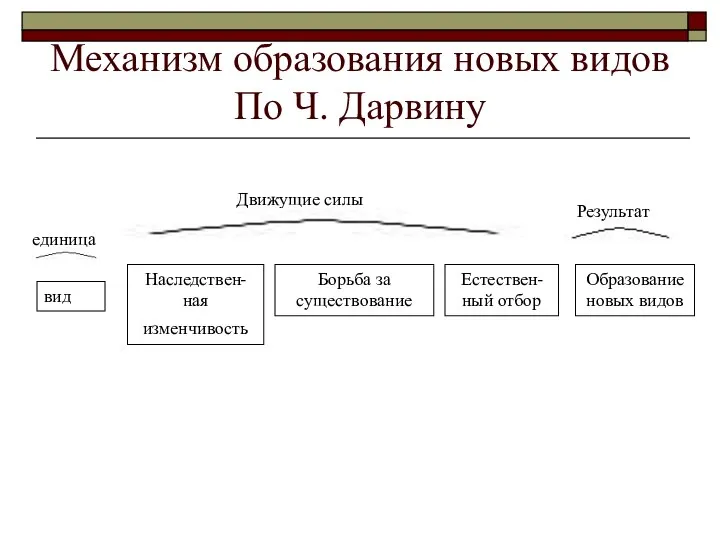 Механизм образования новых видов По Ч. Дарвину вид Наследствен-ная изменчивость Борьба