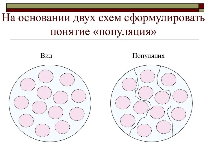 На основании двух схем сформулировать понятие «популяция» Вид Популяция