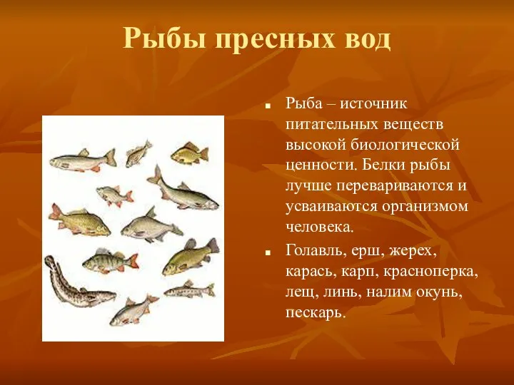 Рыбы пресных вод Рыба – источник питательных веществ высокой биологической ценности.