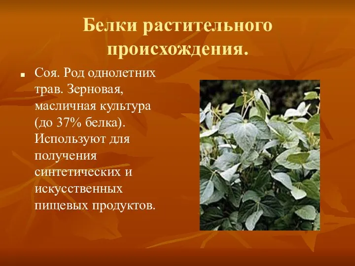 Белки растительного происхождения. Соя. Род однолетних трав. Зерновая, масличная культура (до