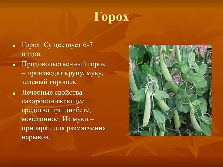 Горох Горох. Существует 6-7 видов. Продовольственный горох – производят крупу, муку,