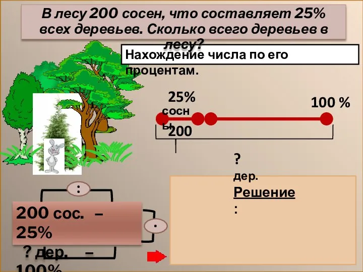 Нахождение числа по его процентам. 200 сос. – 25% ? дер.