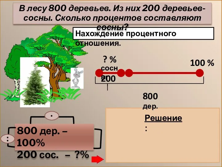 Нахождение процентного отношения. 800 дер. – 100% 200 сос. – ?%