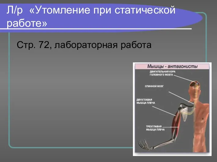 Л/р «Утомление при статической работе» Стр. 72, лабораторная работа