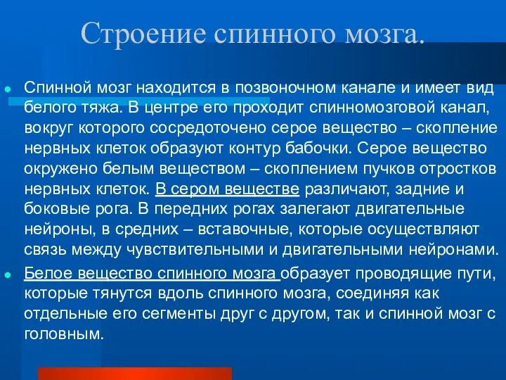 Строение спинного мозга. Спинной мозг находится в позвоночном канале и имеет