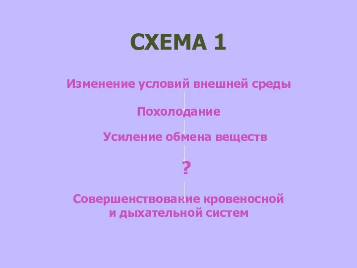 СХЕМА 1 Изменение условий внешней среды Похолодание Усиление обмена веществ ? Совершенствование кровеносной и дыхательной систем