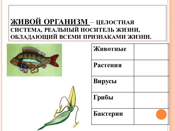 ЖИВОЙ ОРГАНИЗМ – ЦЕЛОСТНАЯ СИСТЕМА, РЕАЛЬНЫЙ НОСИТЕЛЬ ЖИЗНИ, ОБЛАДАЮЩИЙ ВСЕМИ ПРИЗНАКАМИ ЖИЗНИ.