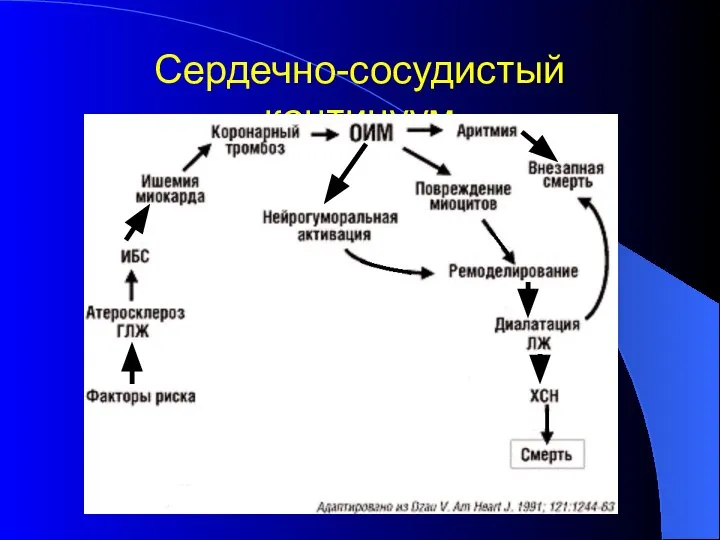 Сердечно-сосудистый континуум