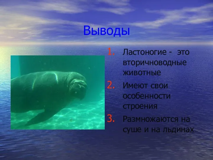 Выводы Ластоногие - это вторичноводные животные Имеют свои особенности строения Размножаются на суше и на льдинах