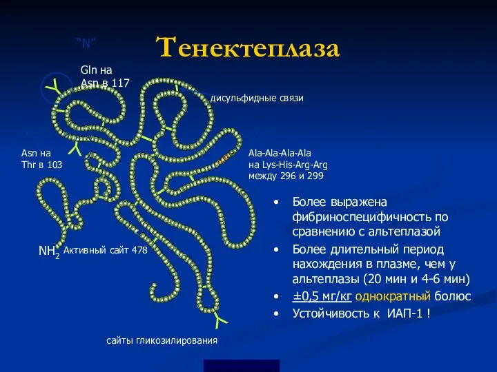 Y Y Y Тенектеплаза Ala-Ala-Ala-Ala на Lys-His-Arg-Arg между 296 и 299