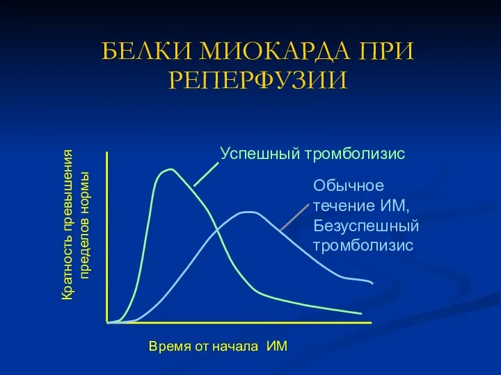 БЕЛКИ МИОКАРДА ПРИ РЕПЕРФУЗИИ Кратность превышения пределов нормы Время от начала