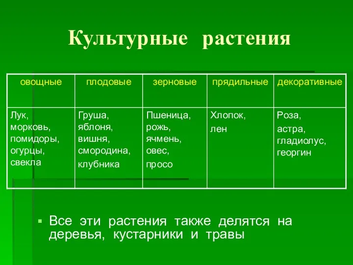 Культурные растения Все эти растения также делятся на деревья, кустарники и травы