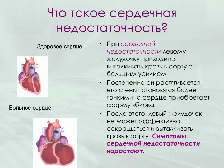 Что такое сердечная недостаточность? При сердечной недостаточности левому желудочку приходится выталкивать