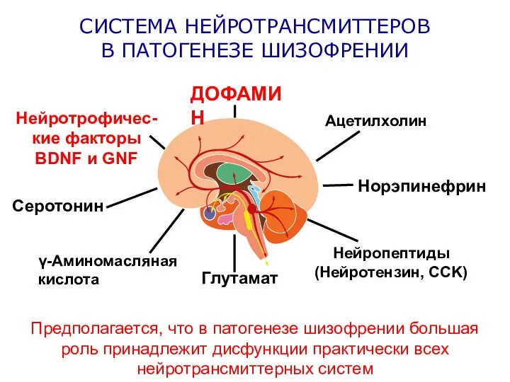 СИСТЕМА НЕЙРОТРАНСМИТТЕРОВ В ПАТОГЕНЕЗЕ ШИЗОФРЕНИИ Предполагается, что в патогенезе шизофрении большая