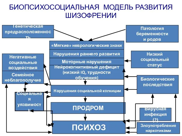 Нарушения раннего развития БИОПСИХОСОЦИАЛЬНАЯ МОДЕЛЬ РАЗВИТИЯ ШИЗОФРЕНИИ Генетическая предрасположенность Патология беременности