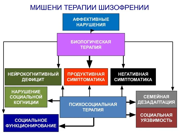 ПСИХОСОЦИАЛЬНАЯ ТЕРАПИЯ МИШЕНИ ТЕРАПИИ ШИЗОФРЕНИИ ПРОДУКТИВНАЯ СИМПТОМАТИКА НЕГАТИВНАЯ СИМПТОМАТИКА НЕЙРОКОГНИТИВНЫЙ ДЕФИЦИТ