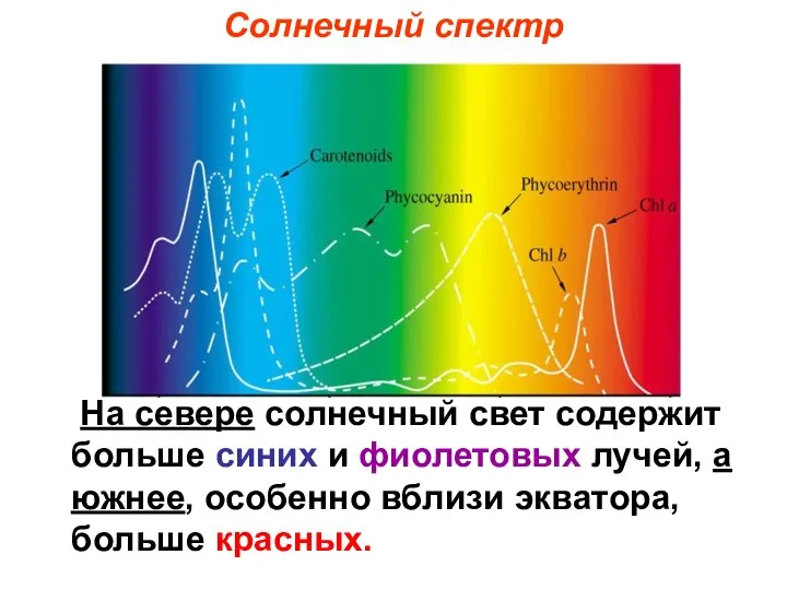 На севере солнечный свет содержит больше синих и фиолетовых лучей, а