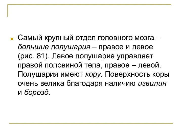 Самый крупный отдел головного мозга – большие полушария – правое и