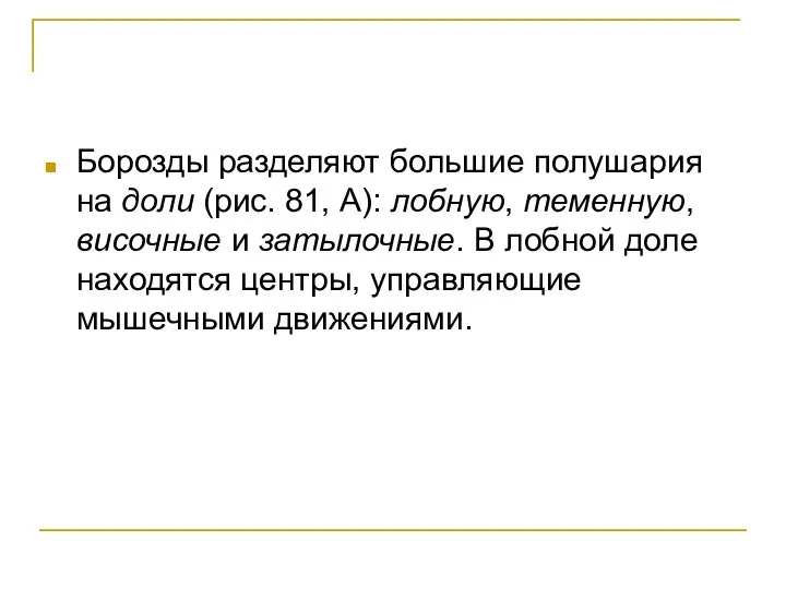 Борозды разделяют большие полушария на доли (рис. 81, А): лобную, теменную,