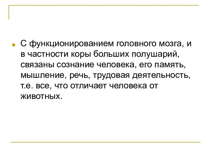 С функционированием головного мозга, и в частности коры больших полушарий, связаны