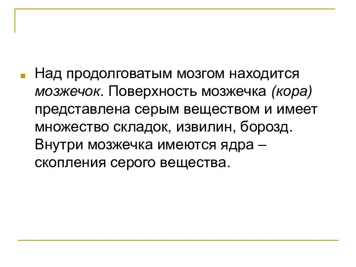 Над продолговатым мозгом находится мозжечок. Поверхность мозжечка (кора) представлена серым веществом