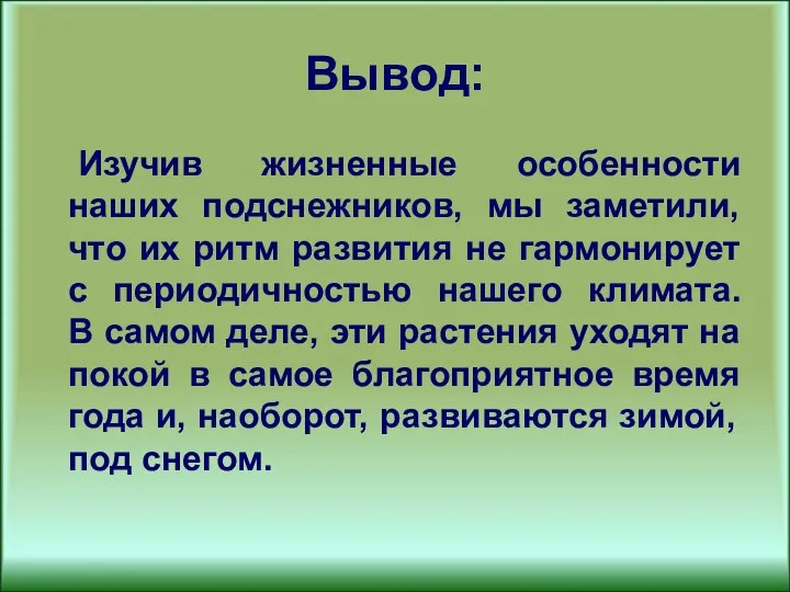 Вывод: Изучив жизненные особенности наших подснежников, мы заметили, что их ритм