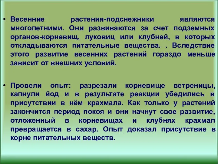 Весенние растения-подснежники являются многолетними. Они развиваются за счет подземных органов-корневищ, луковиц