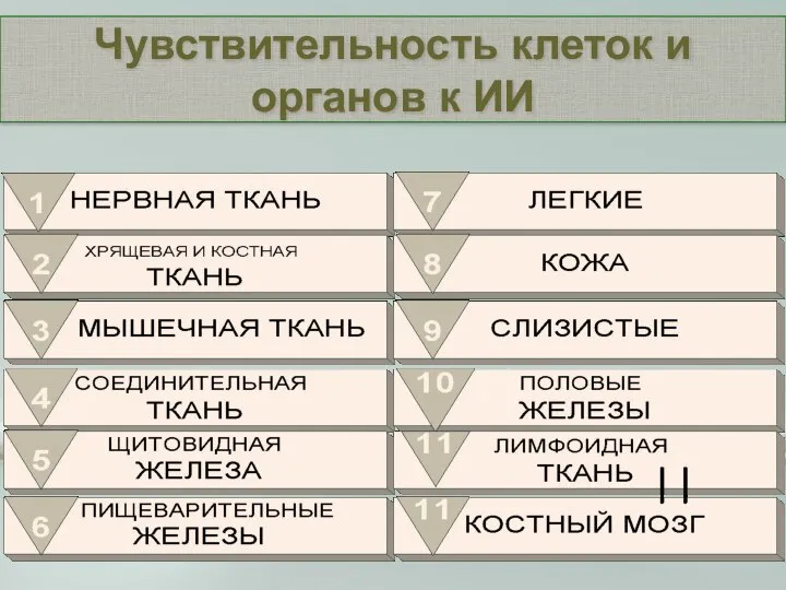 Чувствительность клеток и органов к ИИ