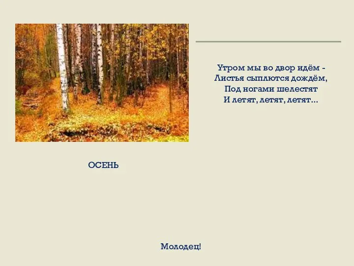 Утром мы во двор идём - Листья сыплются дождём, Под ногами