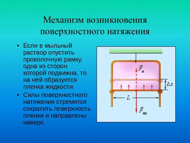 Механизм возникновения поверхностного натяжения Если в мыльный раствор опустить проволочную рамку,