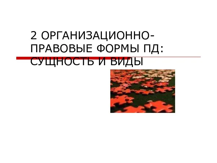 2 ОРГАНИЗАЦИОННО-ПРАВОВЫЕ ФОРМЫ ПД: СУЩНОСТЬ И ВИДЫ