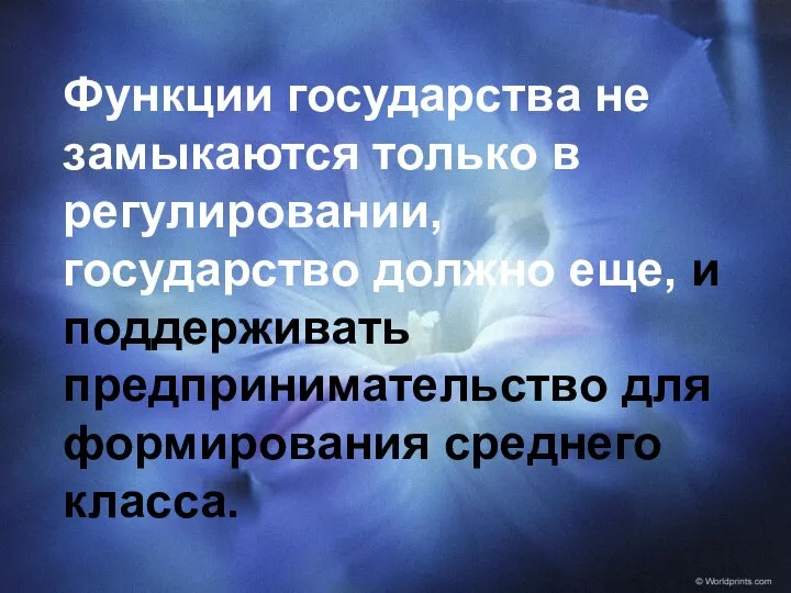 Функции государства не замыкаются только в регулировании, государство должно еще, и