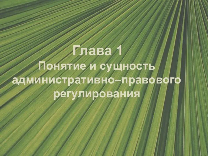 Глава 1 Понятие и сущность административно–правового регулирования