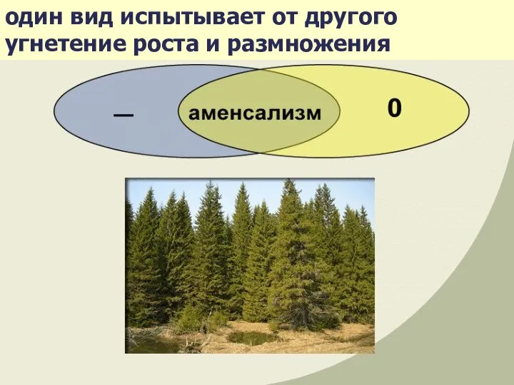 один вид испытывает от другого угнетение роста и размножения