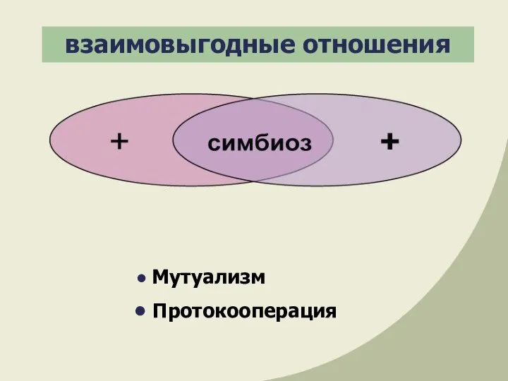 взаимовыгодные отношения Мутуализм Протокооперация