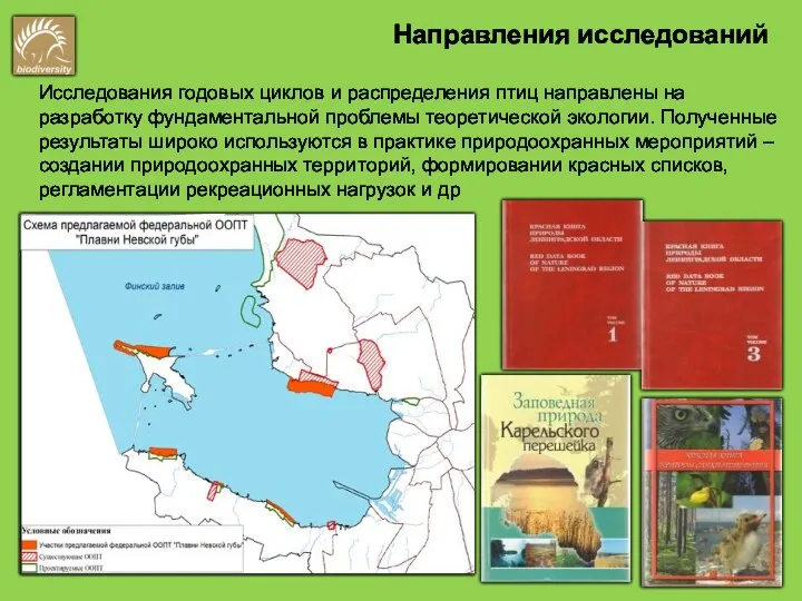 Исследования годовых циклов и распределения птиц направлены на разработку фундаментальной проблемы