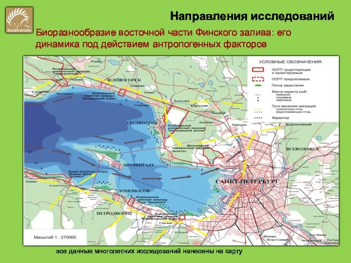 Биоразнообразие восточной части Финского залива: его динамика под действием антропогенных факторов