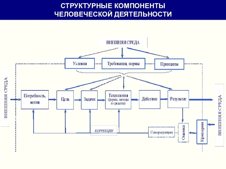 СТРУКТУРНЫЕ КОМПОНЕНТЫ ЧЕЛОВЕЧЕСКОЙ ДЕЯТЕЛЬНОСТИ