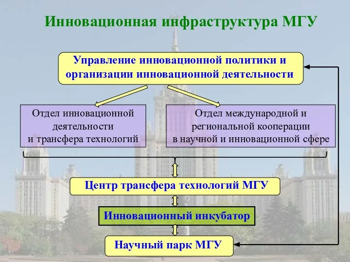 Инновационная инфраструктура МГУ Отдел инновационной деятельности и трансфера технологий Отдел международной