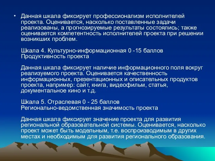 Данная шкала фиксирует профессионализм исполнителей проекта. Оценивается, насколько поставленные задачи реализованы,