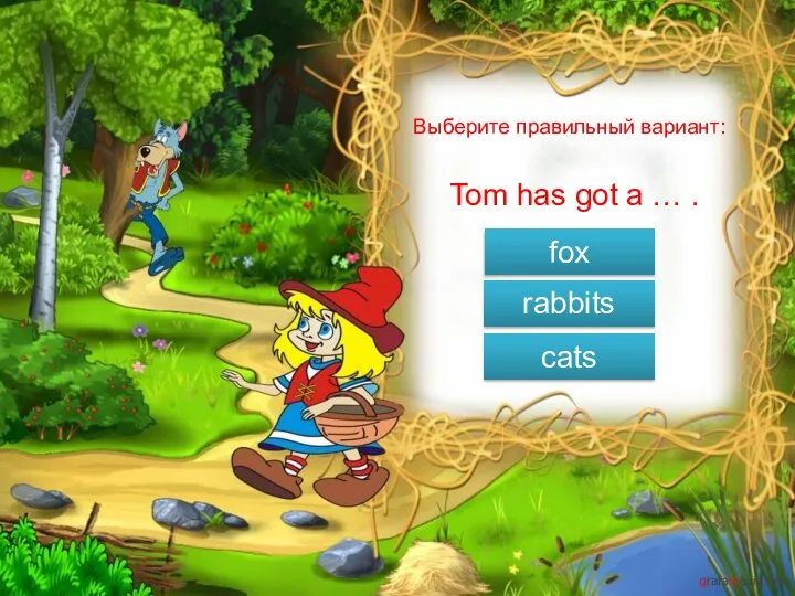 Выберите правильный вариант: Tom has got a … . fox rabbits cats