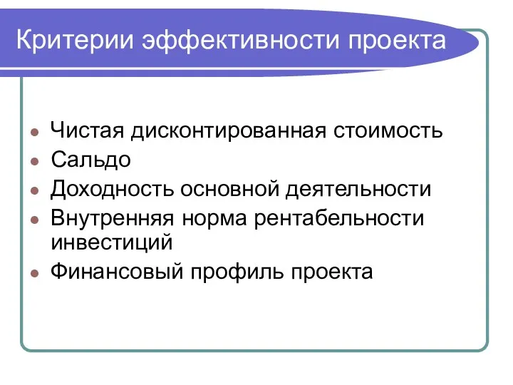 Критерии эффективности проекта Чистая дисконтированная стоимость Сальдо Доходность основной деятельности Внутренняя