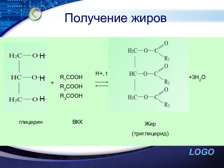 Получение жиров