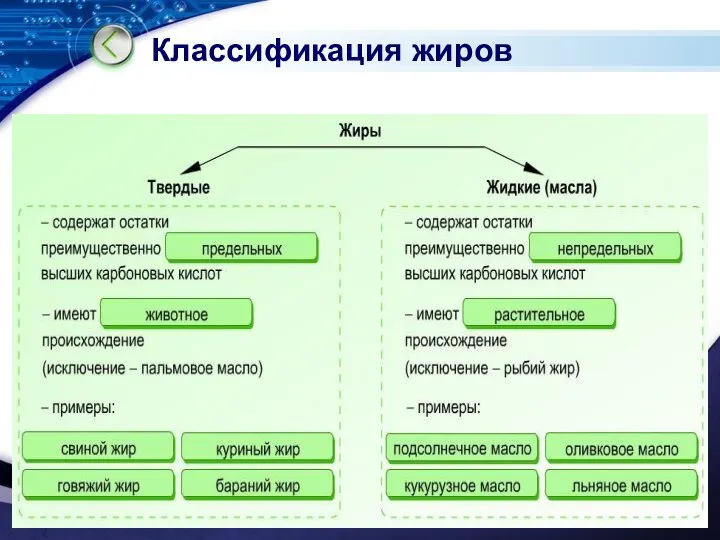 Классификация жиров