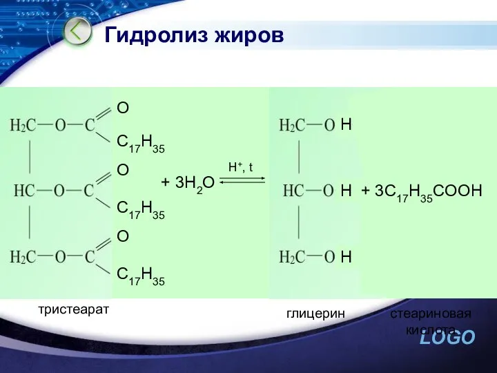 Гидролиз жиров стеариновая кислота