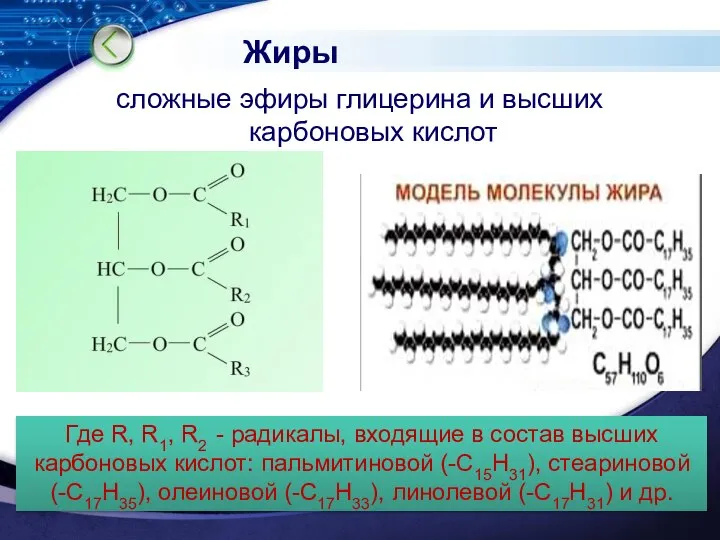 Жиры сложные эфиры глицерина и высших карбоновых кислот Где R, R1,