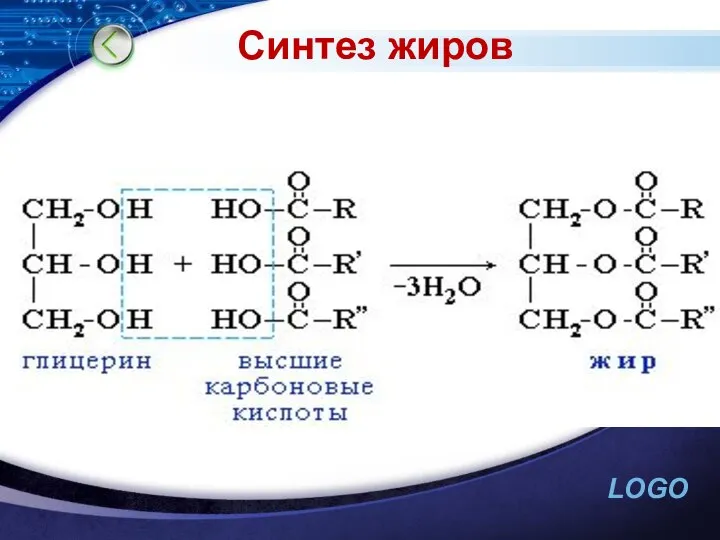 Синтез жиров