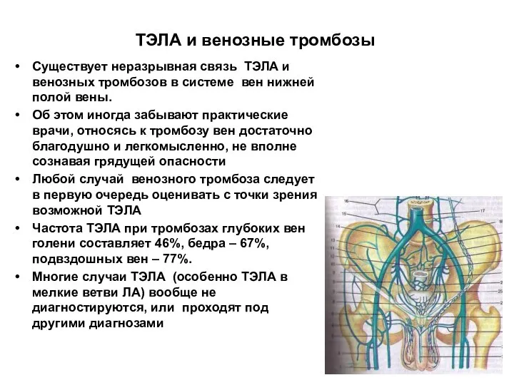 ТЭЛА и венозные тромбозы Существует неразрывная связь ТЭЛА и венозных тромбозов